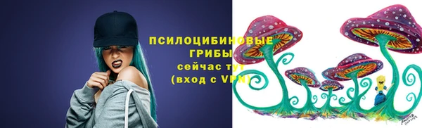 СК Горняк