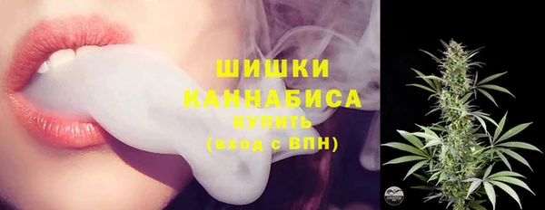 СК Горняк