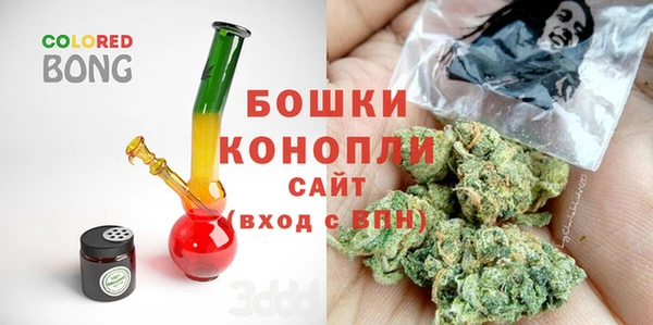 СК Горняк