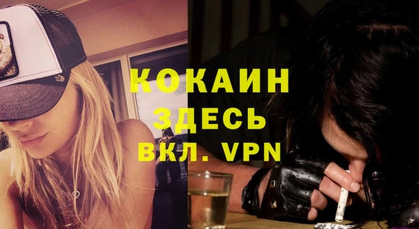 СК Горняк